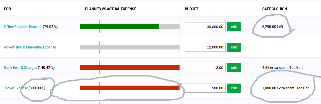 Budget & plan